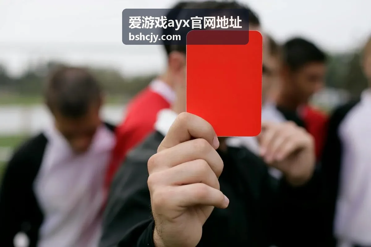 爱游戏ayx官网地址账号信息变更验证流程