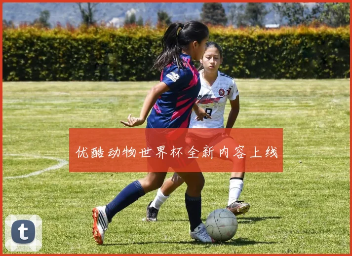 优酷动物世界杯全新内容上线