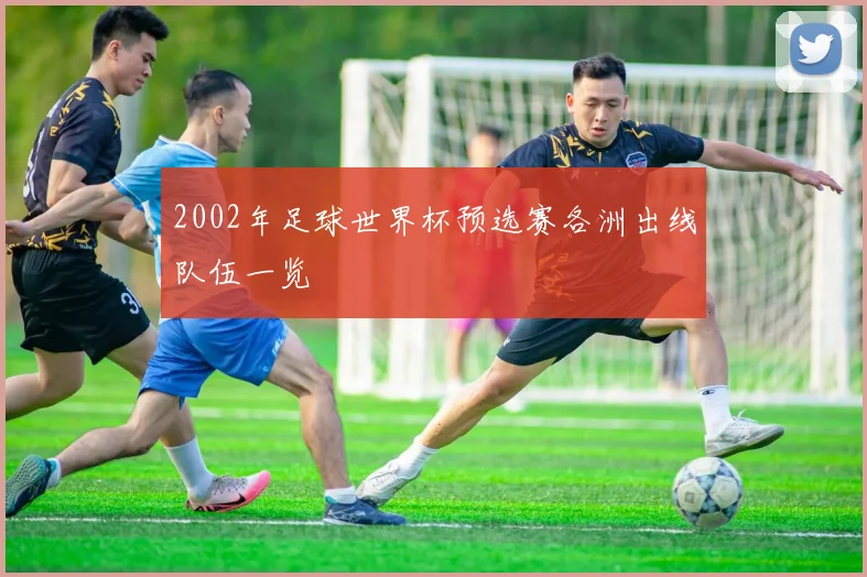 2002年足球世界杯预选赛各洲出线队伍一览